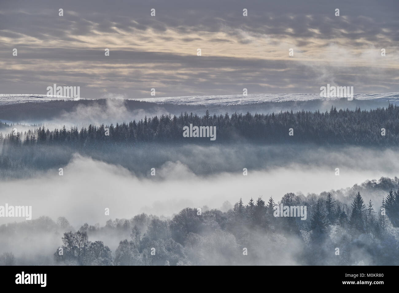 Stunning autumn landscape with foggy trees in front of a dramatic ...