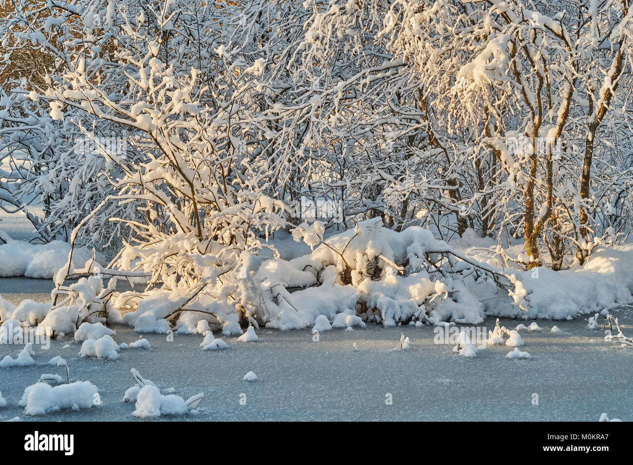 Frozen lake in the forest covered with snow Stock Photo - Alamy