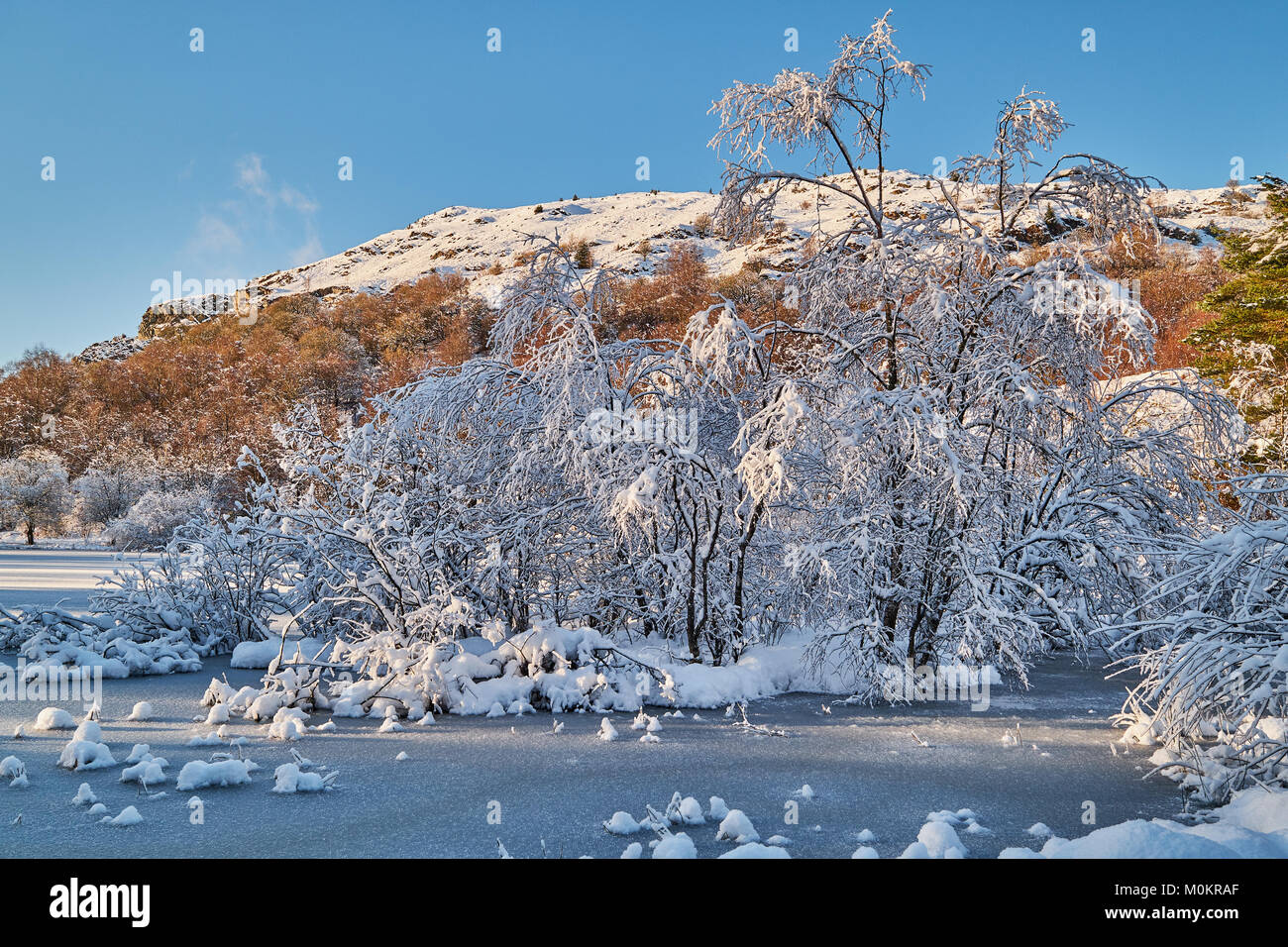 Frozen lake in the forest covered with snow Stock Photo - Alamy