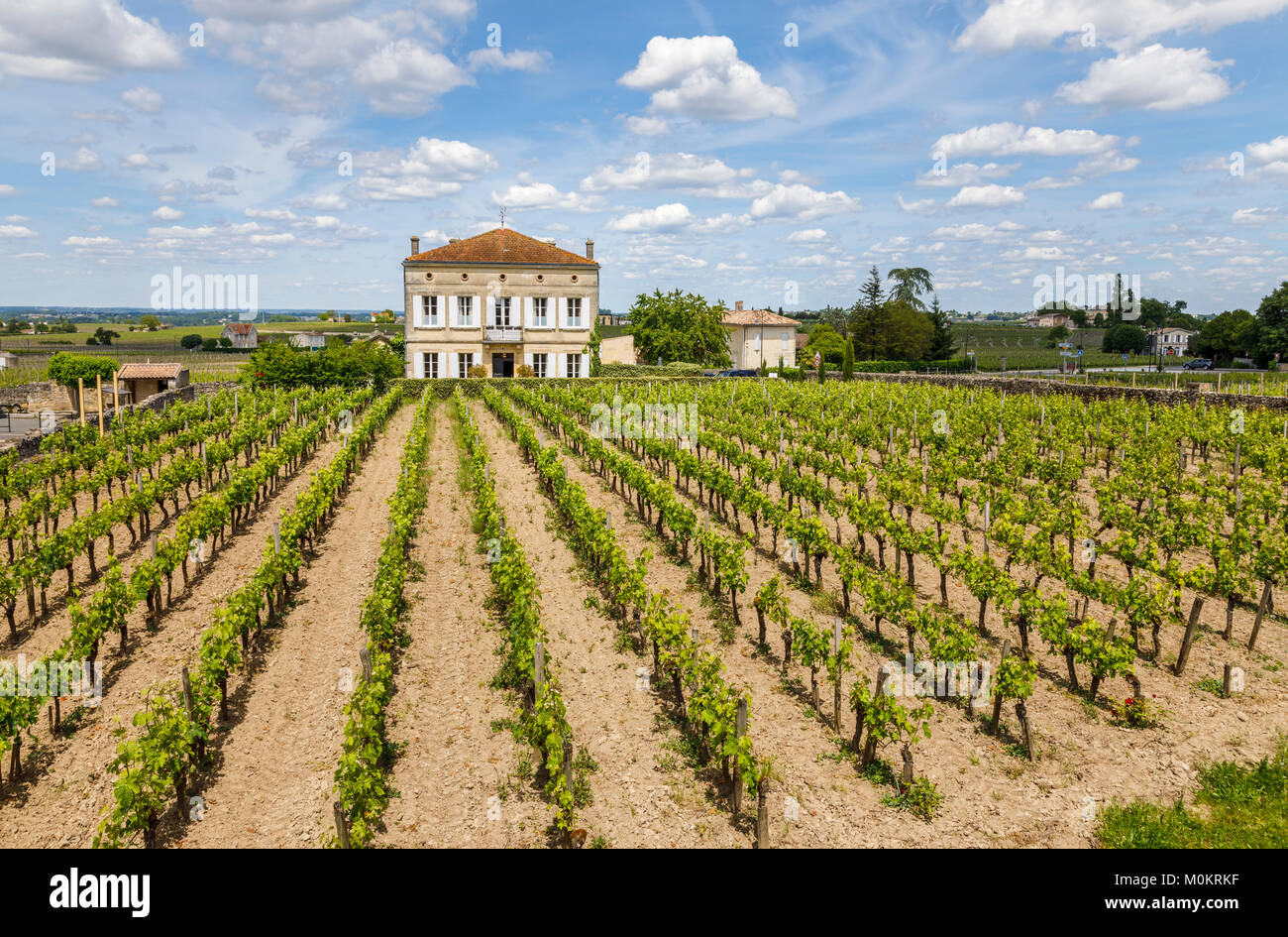 View of large house and rows of vines growing in a vineyard, Saint-Emilion, a commune in the Gironde department in Nouvelle-Aquitaine southwest France Stock Photo