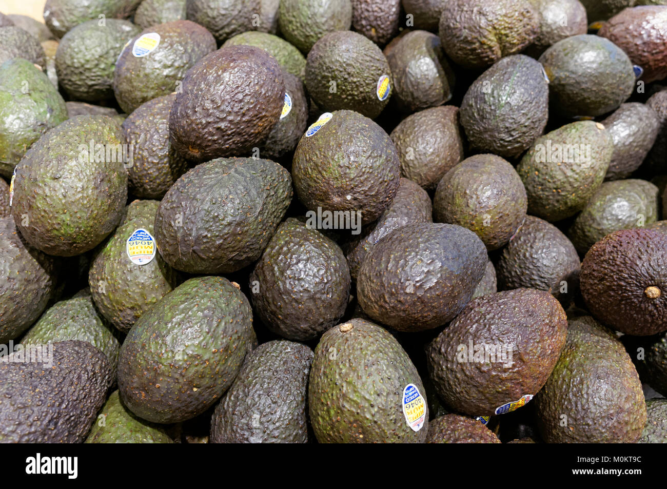 Closeup of ripe Mexican Hass avocados for sale in a grocery store