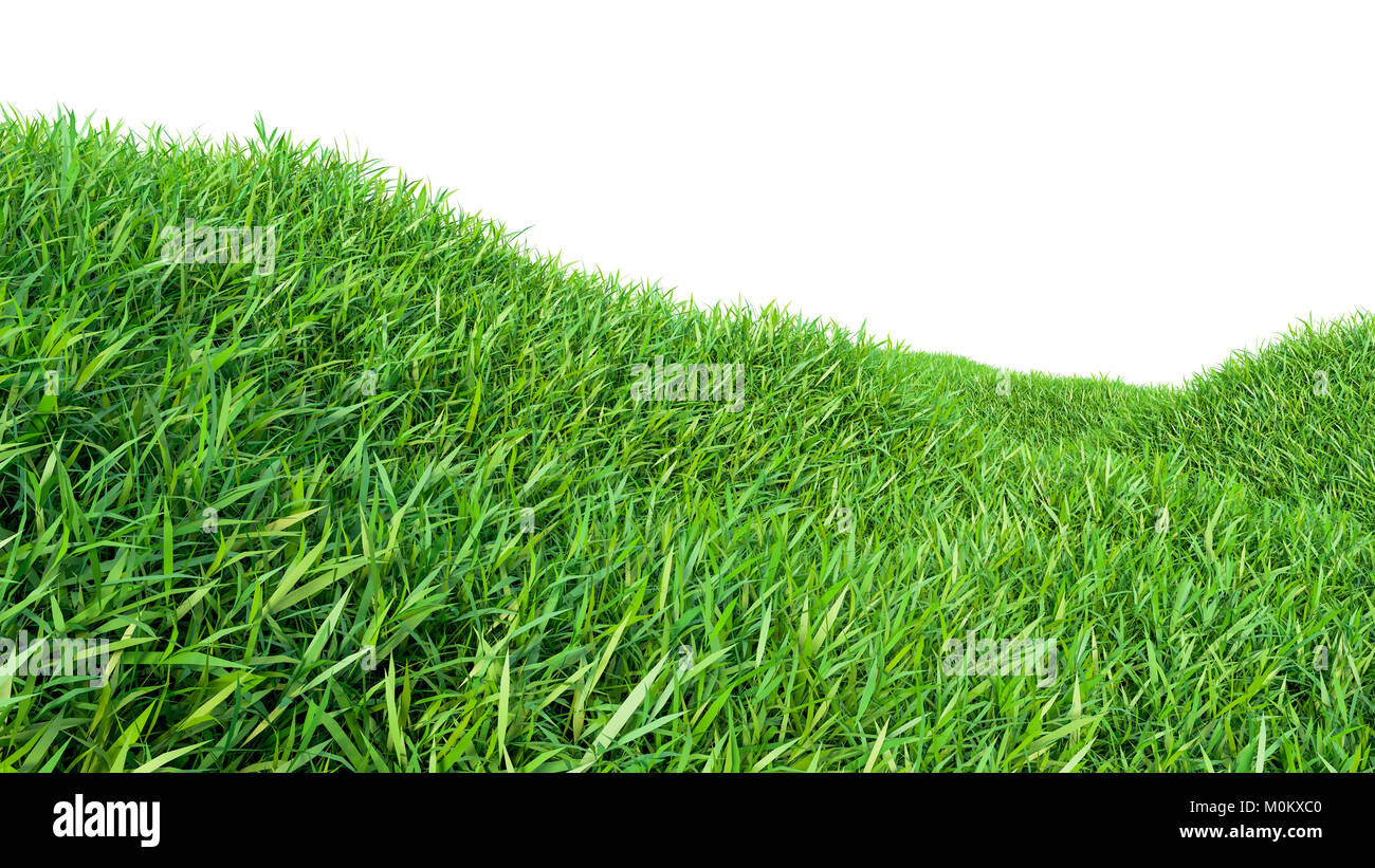 Green grass field isolated on white background Stock Photo - Alamy