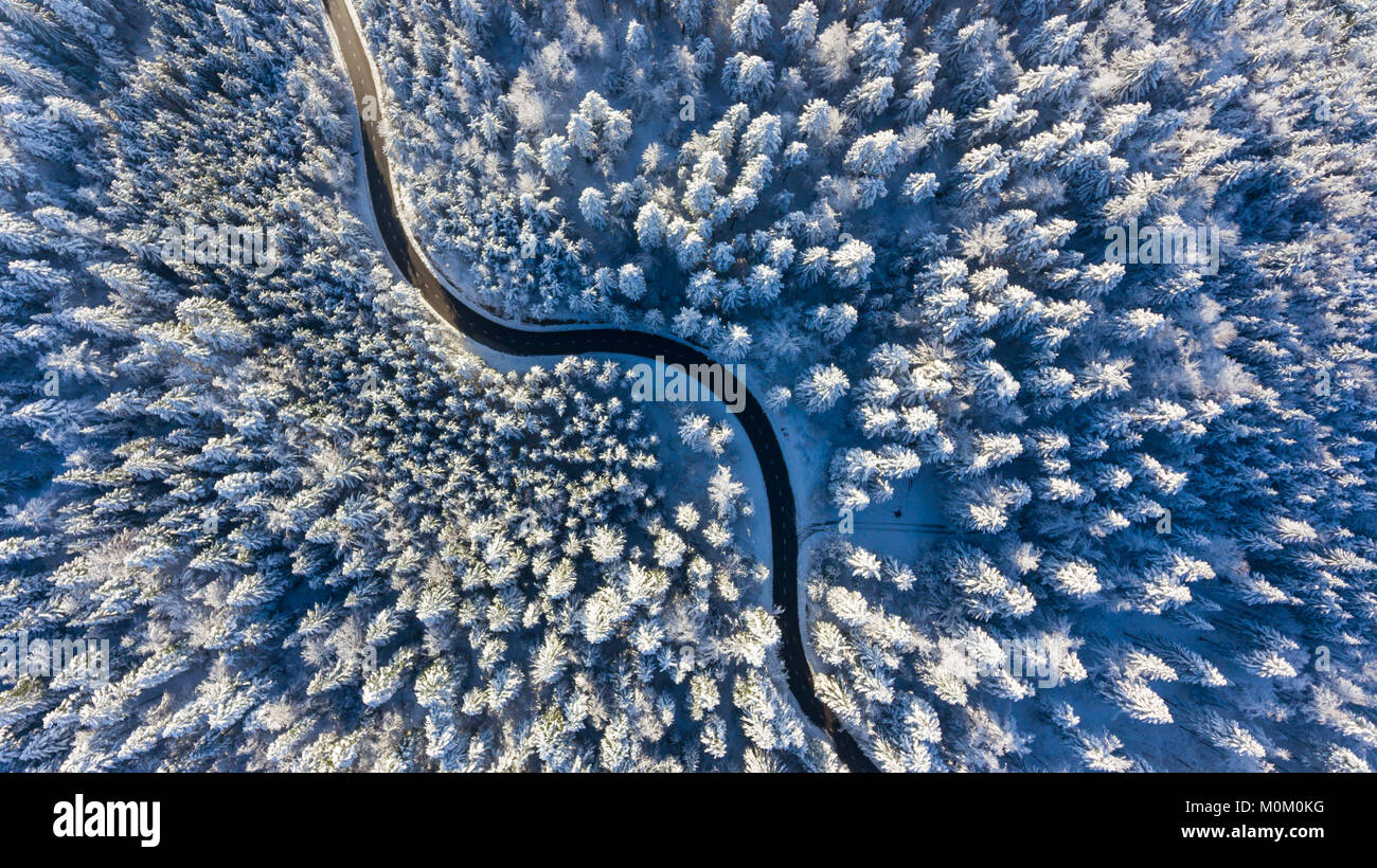 Winding road through a winter forest. Aerial view Stock Photo - Alamy
