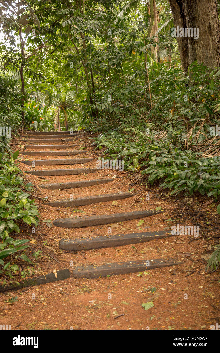 pilgrim path along steep steps to the … – License image – 70057520 ❘  lookphotos