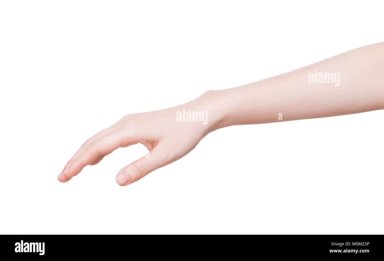 Beautiful female hand on a white background Stock Photo - Alamy