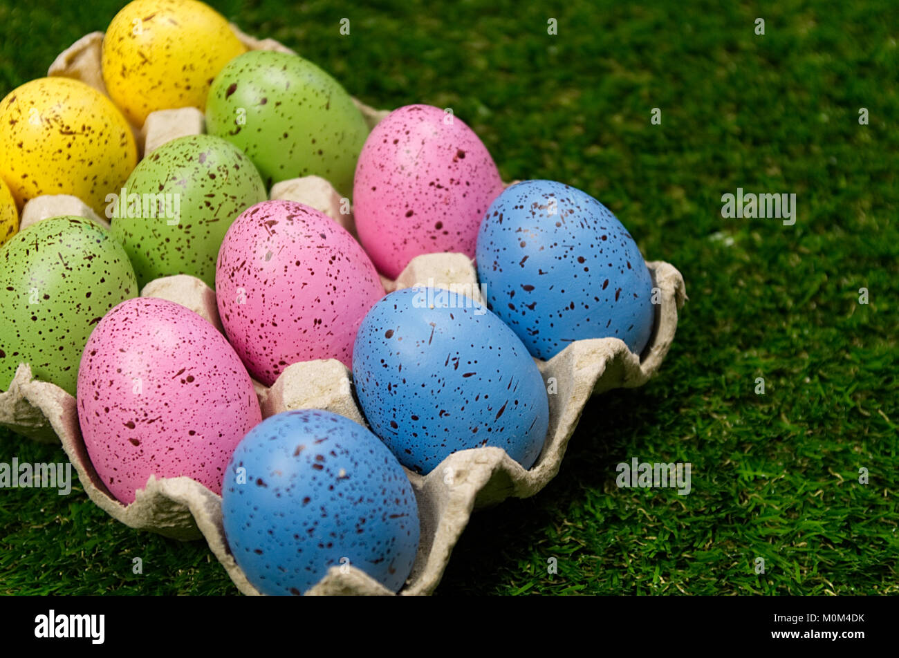 Easter eggs in carton Stock Photo - Alamy