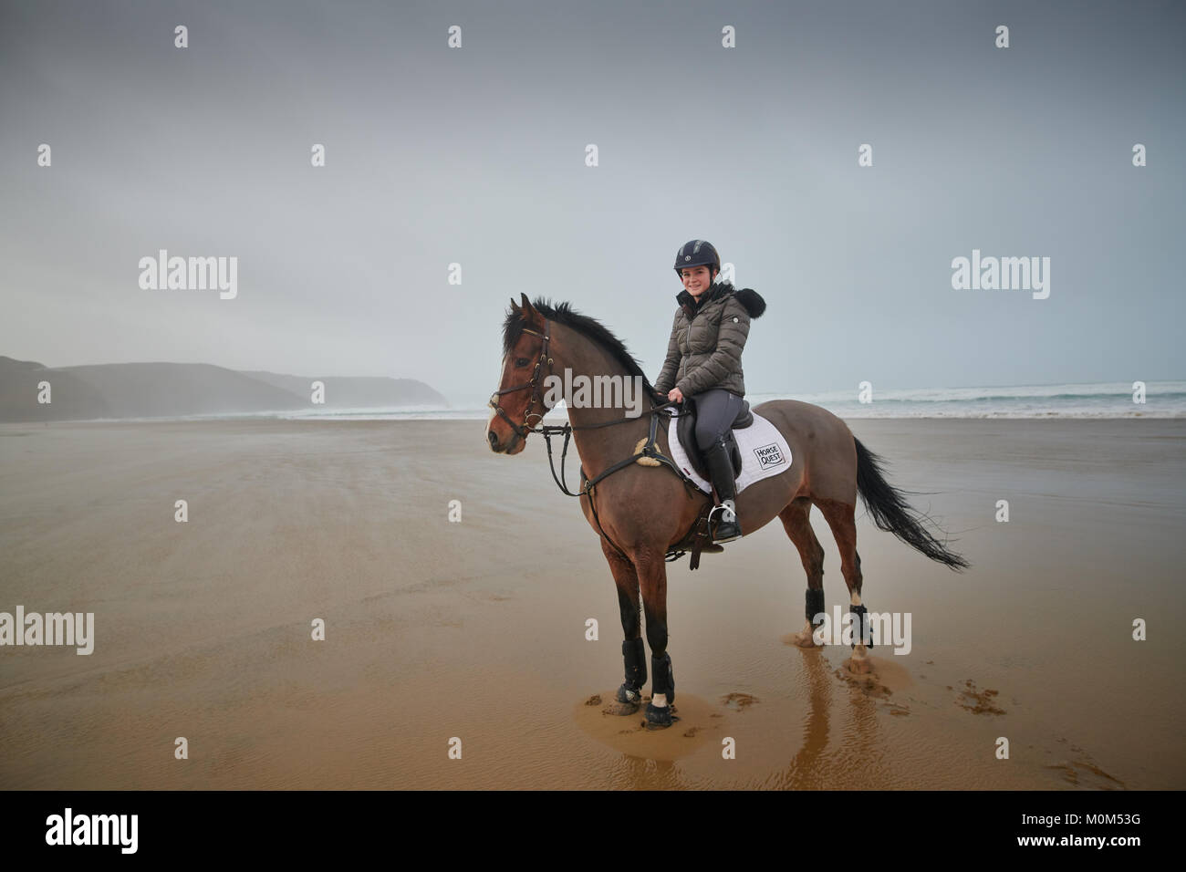 Horse Standing Still High Resolution Stock Photography and Images - Alamy