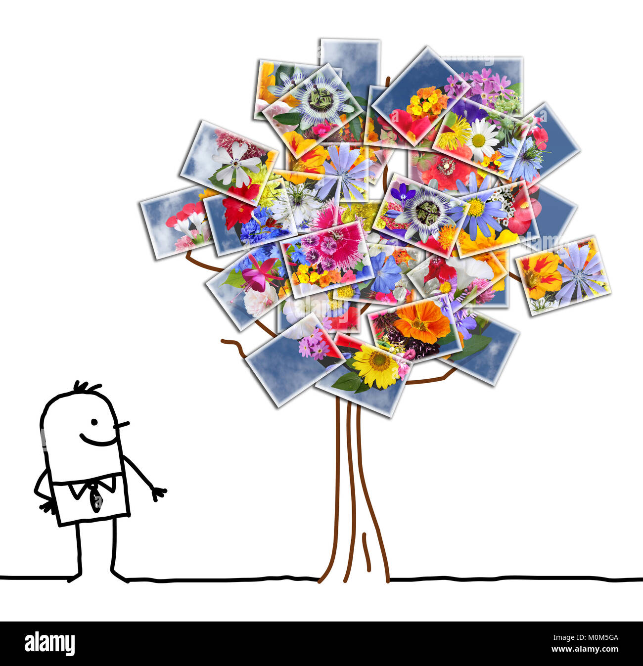 Cartoon Man Watching a Flowering photographic Tree Stock Photo