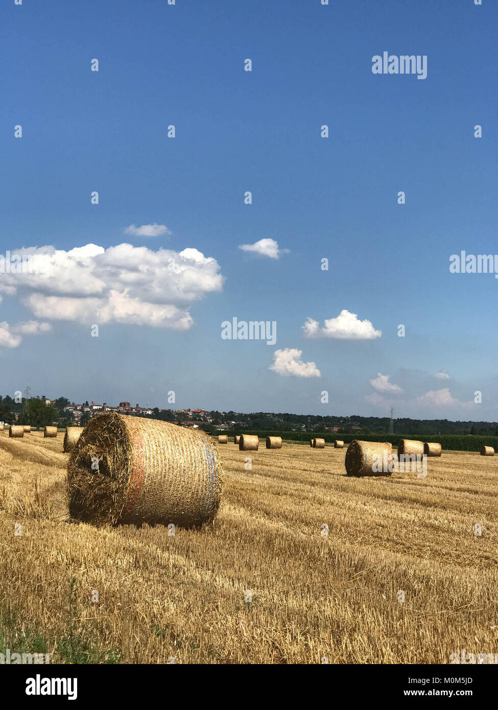 Country landscape with hay bales Stock Photo - Alamy