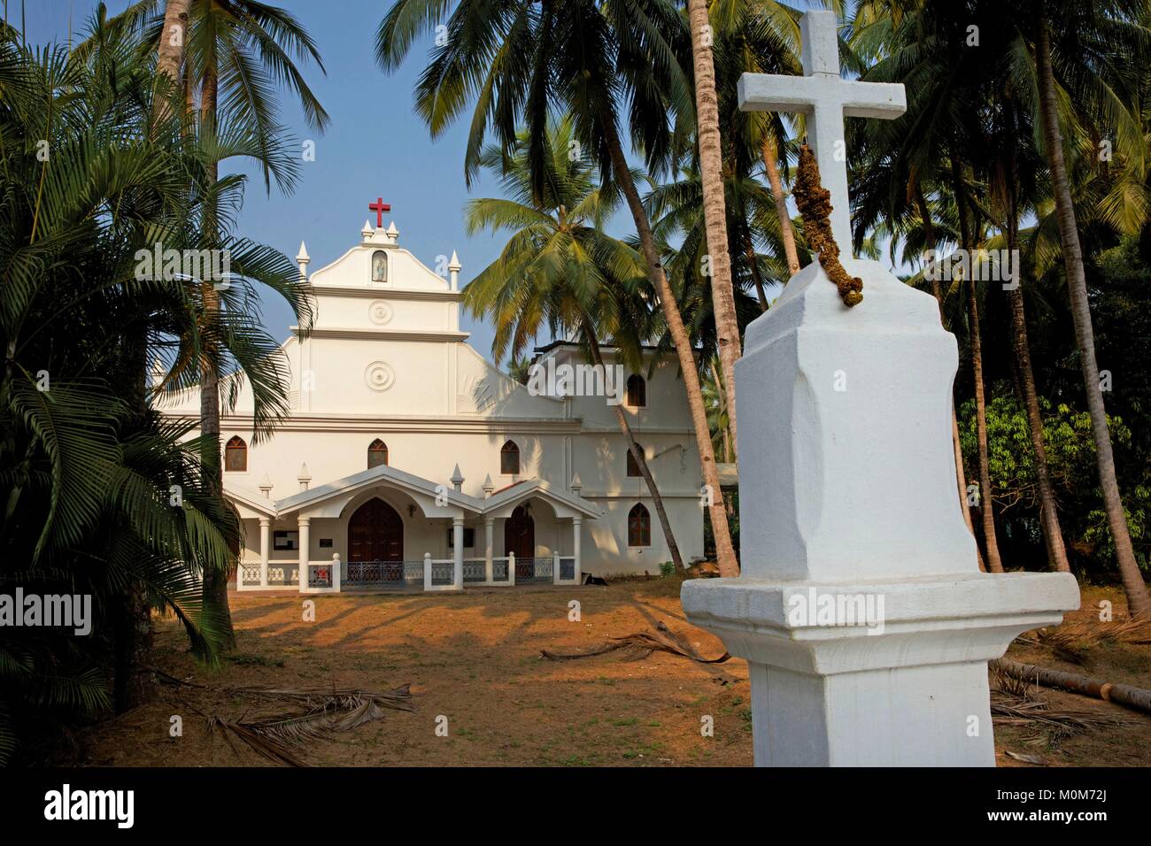 India,Goa,Coco beach,whith portuguese catholic church and his crew in the middle of coconut trees Stock Photo