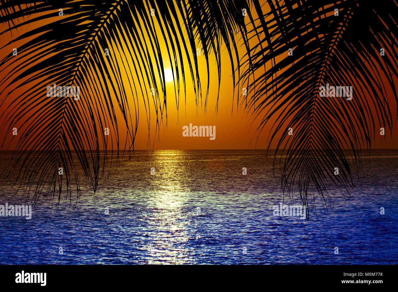 palm trees silhouette on sunset tropical beach Stock Photo - Alamy