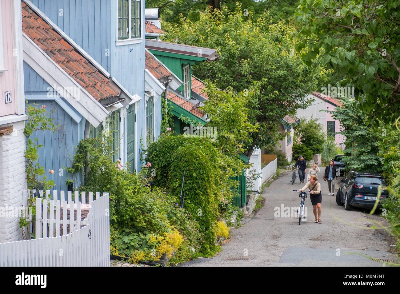 Norway,Oslo,Grünerløkka district,the trendy new bobo district,the trendy Telthusbakken lane lined with wooden houses and garden gardens,filled with artists Stock Photo