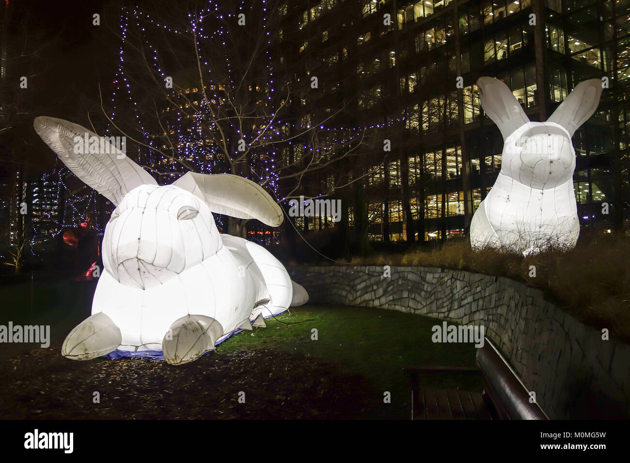 London, UK. 22nd January, 2018. Inflatable white rabbits called Intrude by Amanda Parker highlights Australia's out of control pests but also everyone's childhood fairy stories. They are on display at the Jubilee Park for the Canary Wharf Light Festival 2018. Credit: Fawcitt/Alamy Live News Stock Photo