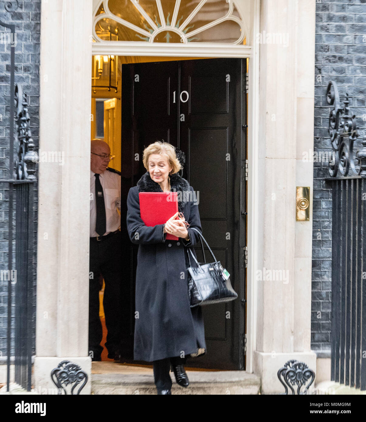 London, UK. 23rd January, 2018. Andrea Leadsom, Leader of the House of Commons, leave 10 Downing Street following a cabinet meeting Credit: Ian Davidson/Alamy Live News Stock Photo
