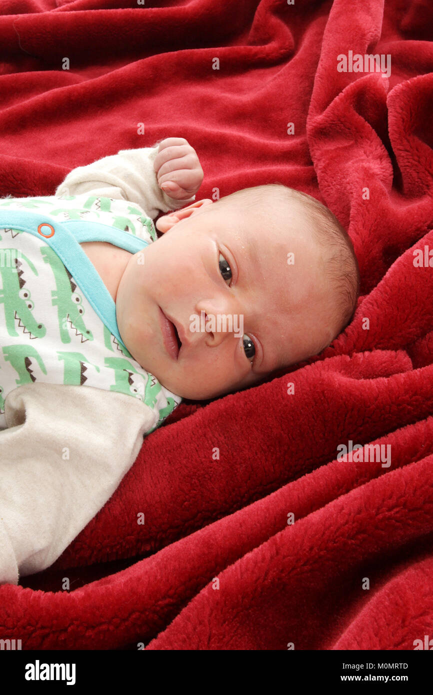 2 week old baby boy, newborn baby, infant Stock Photo