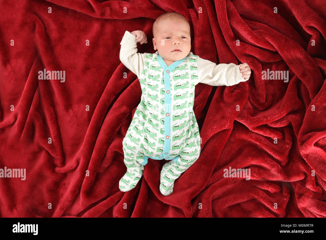 2 week old baby boy, newborn baby, infant Stock Photo