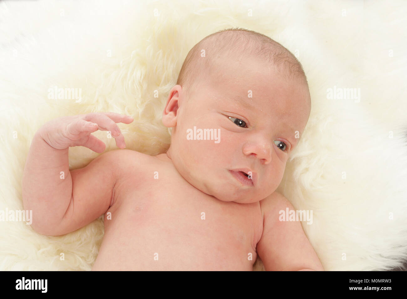 2 week old baby boy, newborn baby, infant Stock Photo Alamy