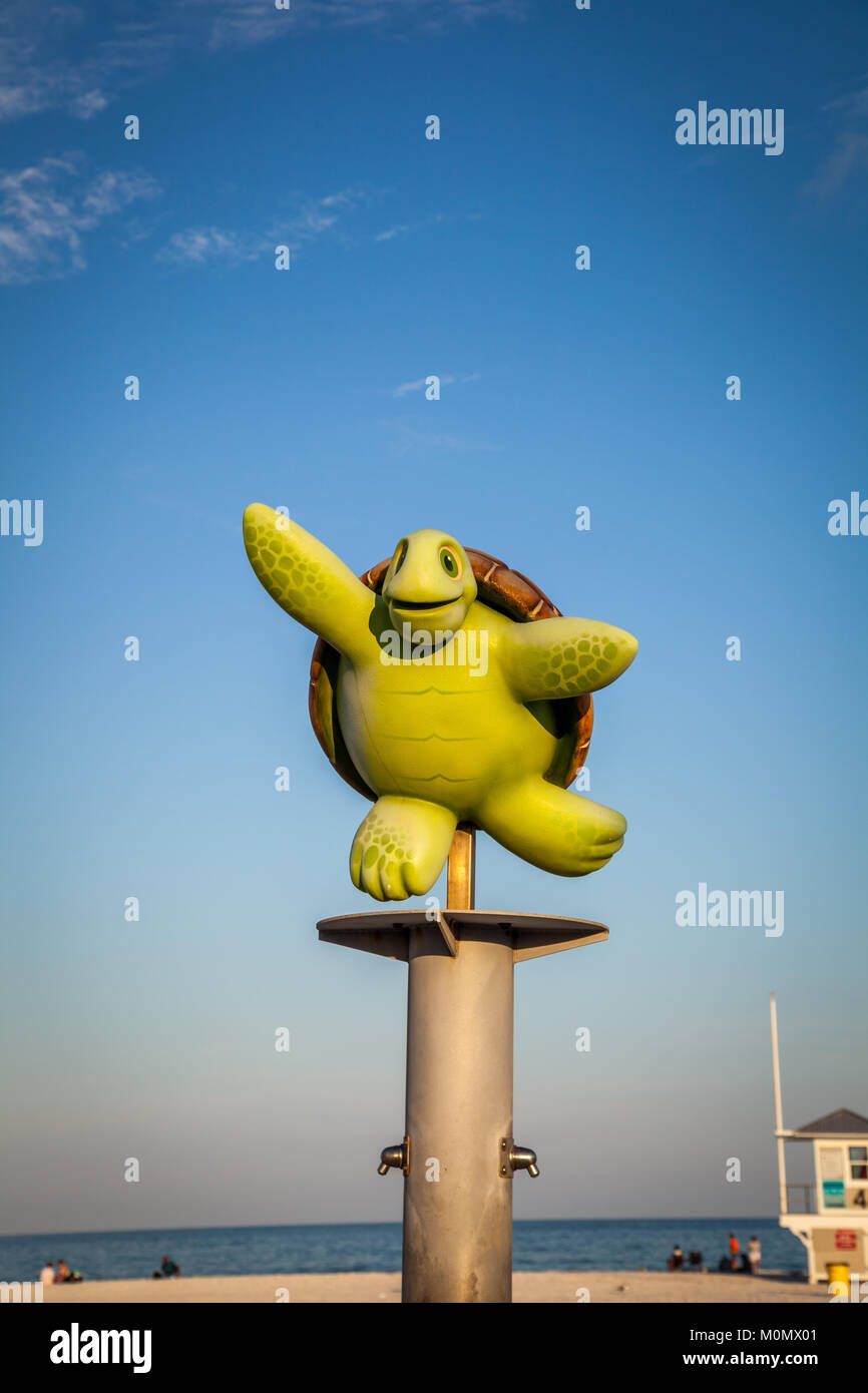Dancing sea turtle on a post Stock Photo Alamy