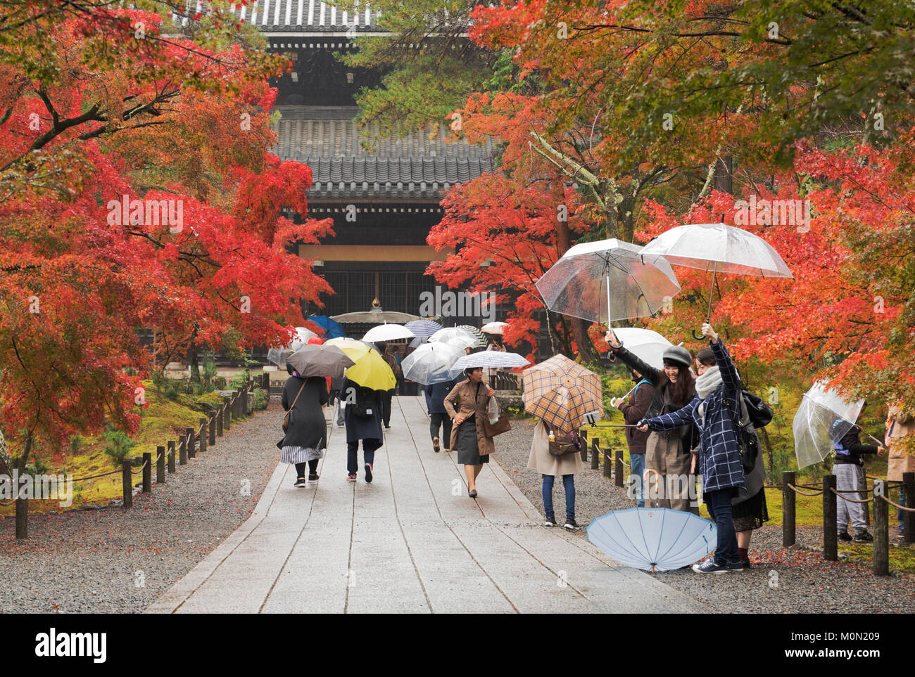 Kyoto, Japan, Nov. 14, 2017 Two girls holding umbrellas take a selfie