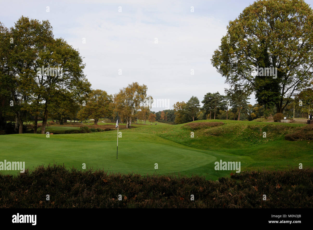 View back over the 9th Green and heather to flag and Golf Course