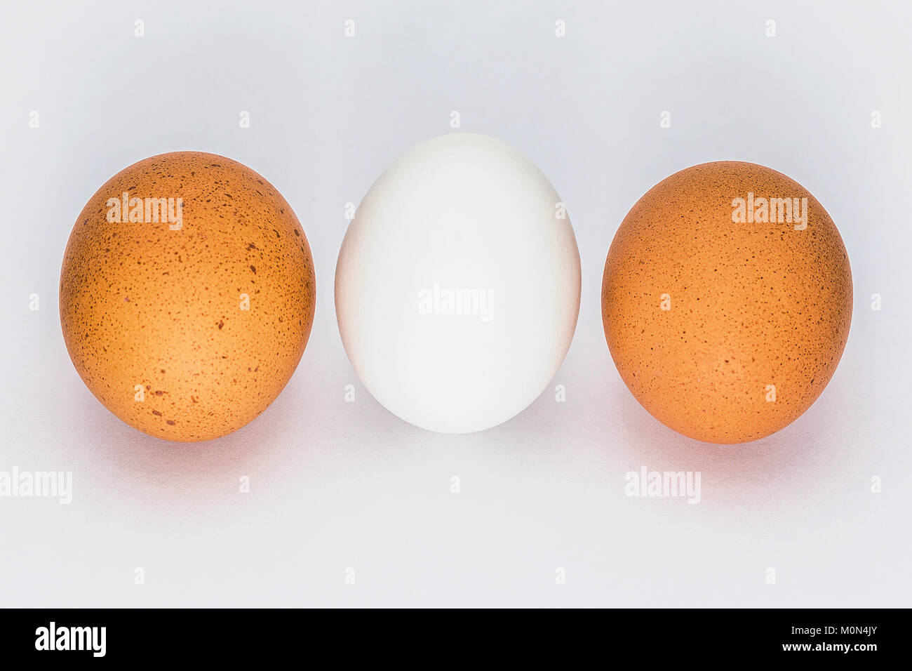Eggs on white Background Stock Photo