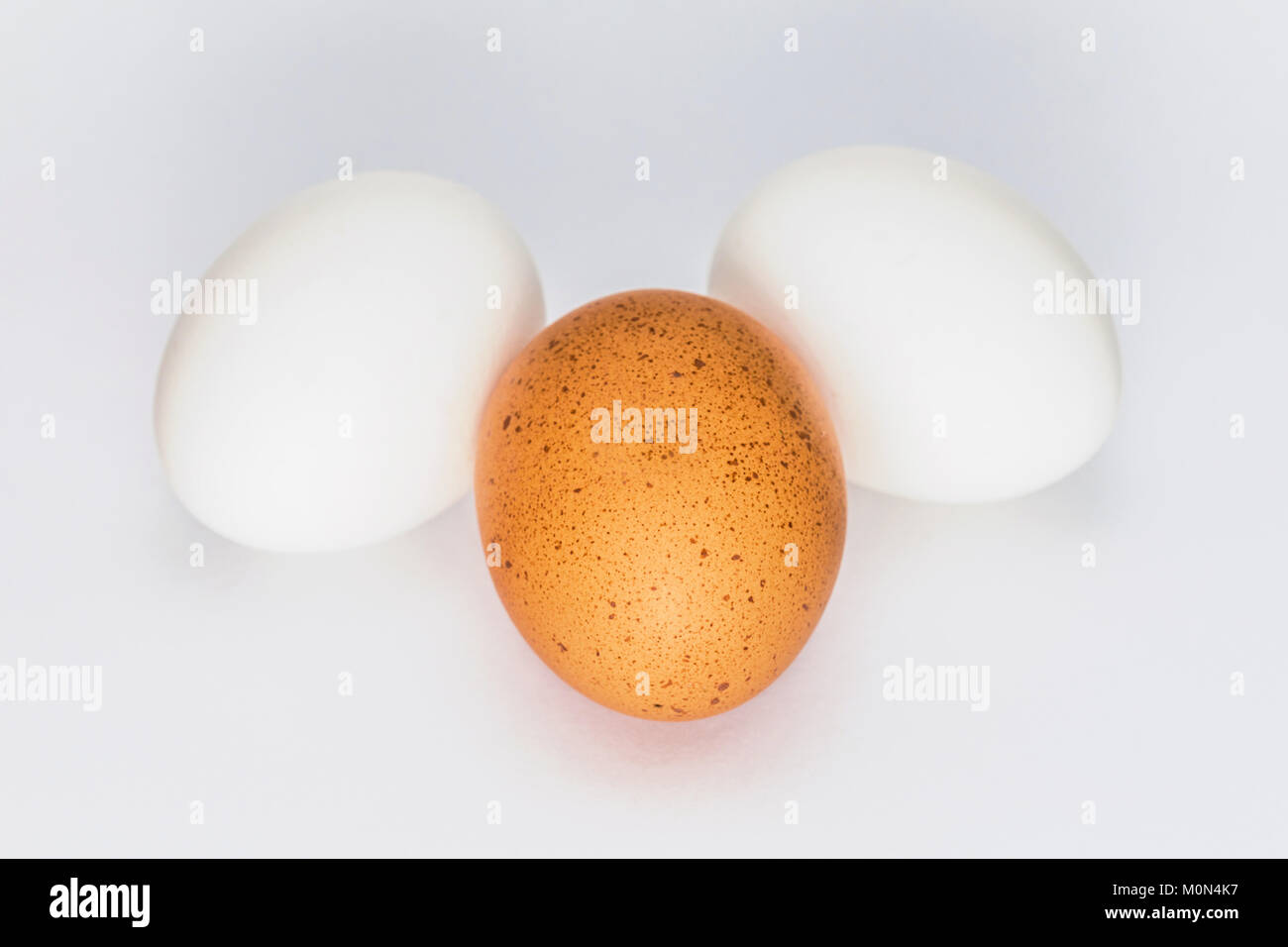 Eggs on white Background Stock Photo