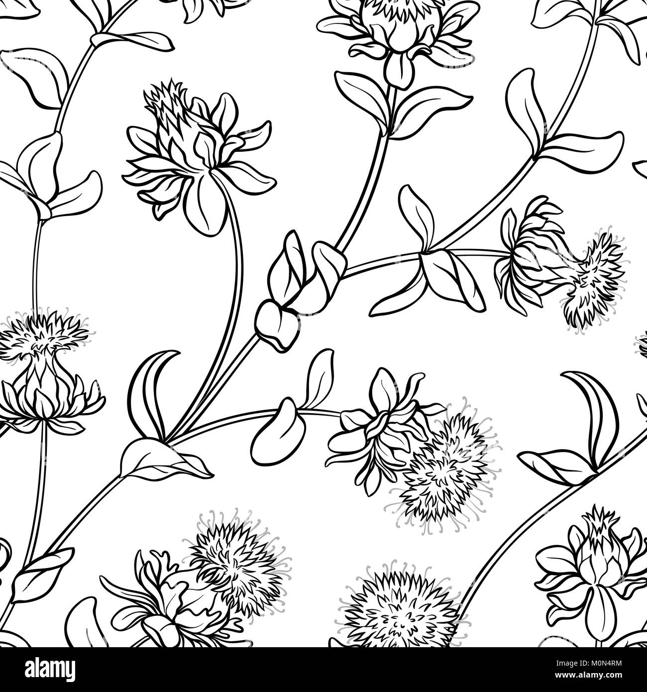 safflower plant seamless pattern on white background Stock Vector