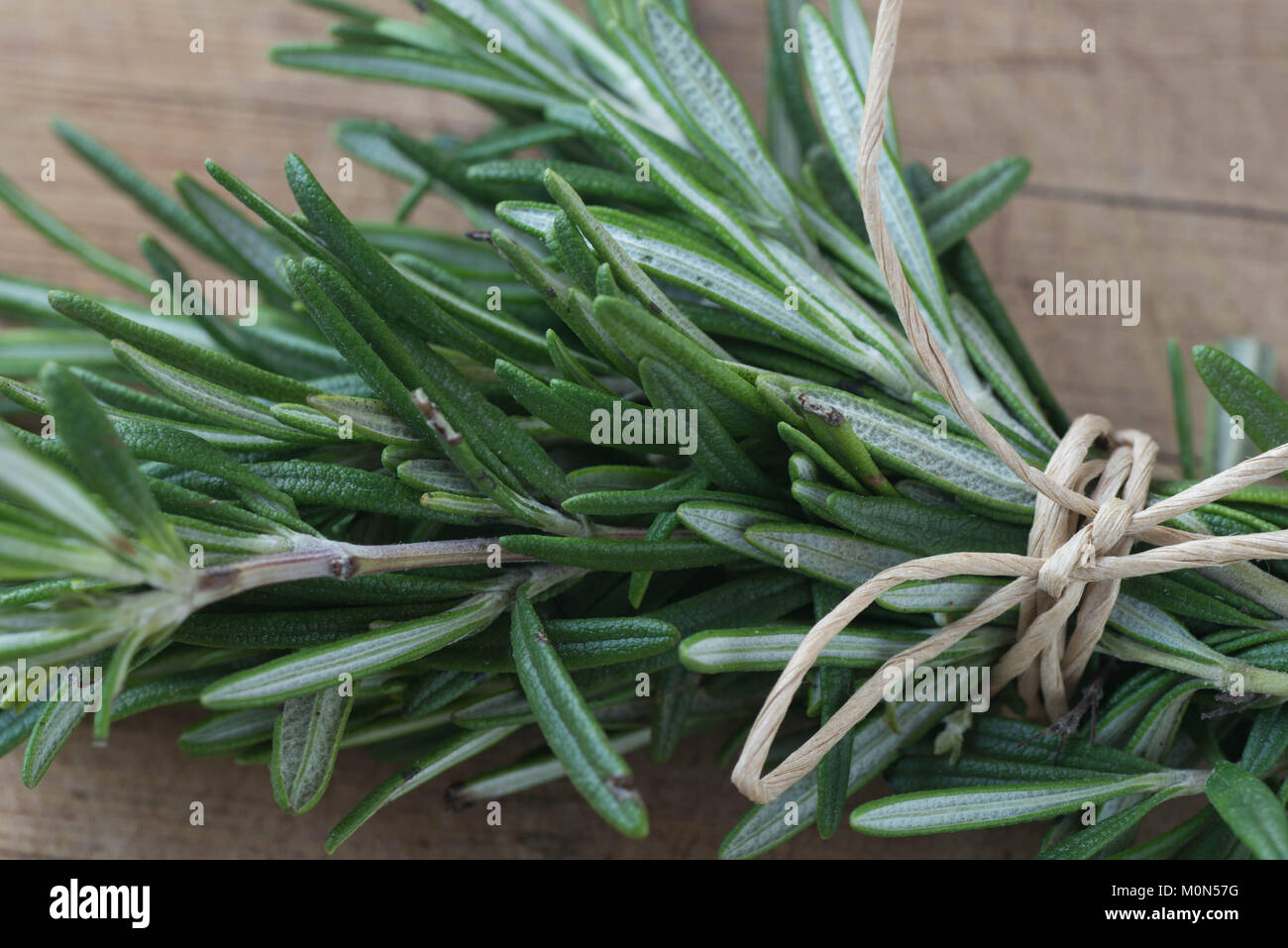 fresh green rosemary twigs on wooden background Stock Photo