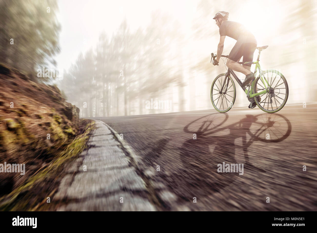 Racing bicycle on a forest road Stock Photo