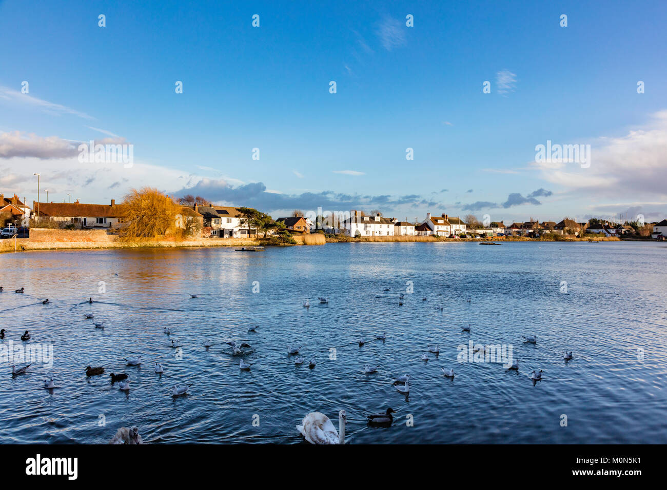 sunlit-attractive-houses-and-cottages-on-the-waterfront-at-emsworth-in