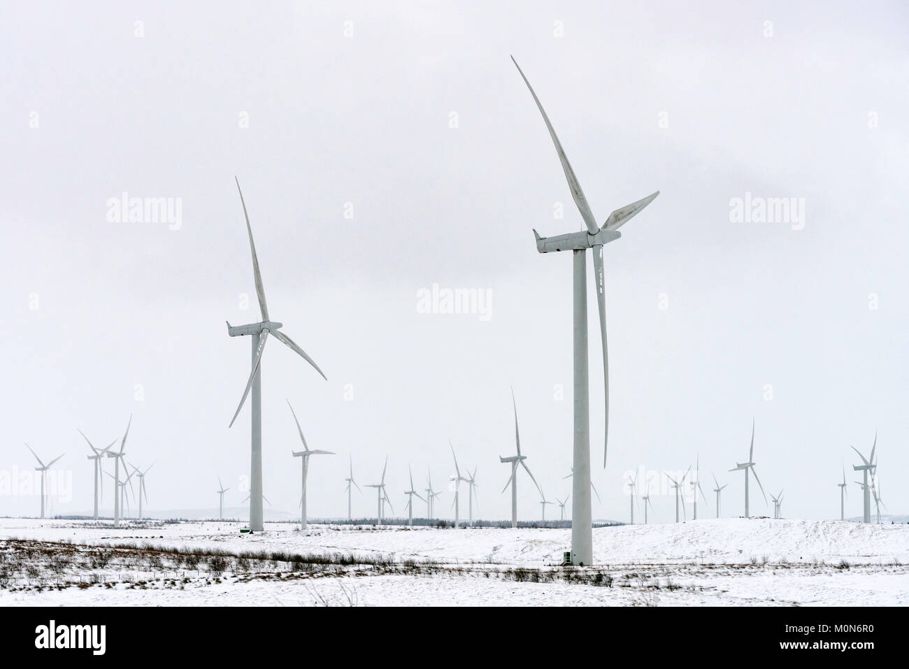 View of wind turbines at Whitelee Windfarm in East Renfrewshire operated by Scottish power, Scotland, United Kingdom Stock Photo