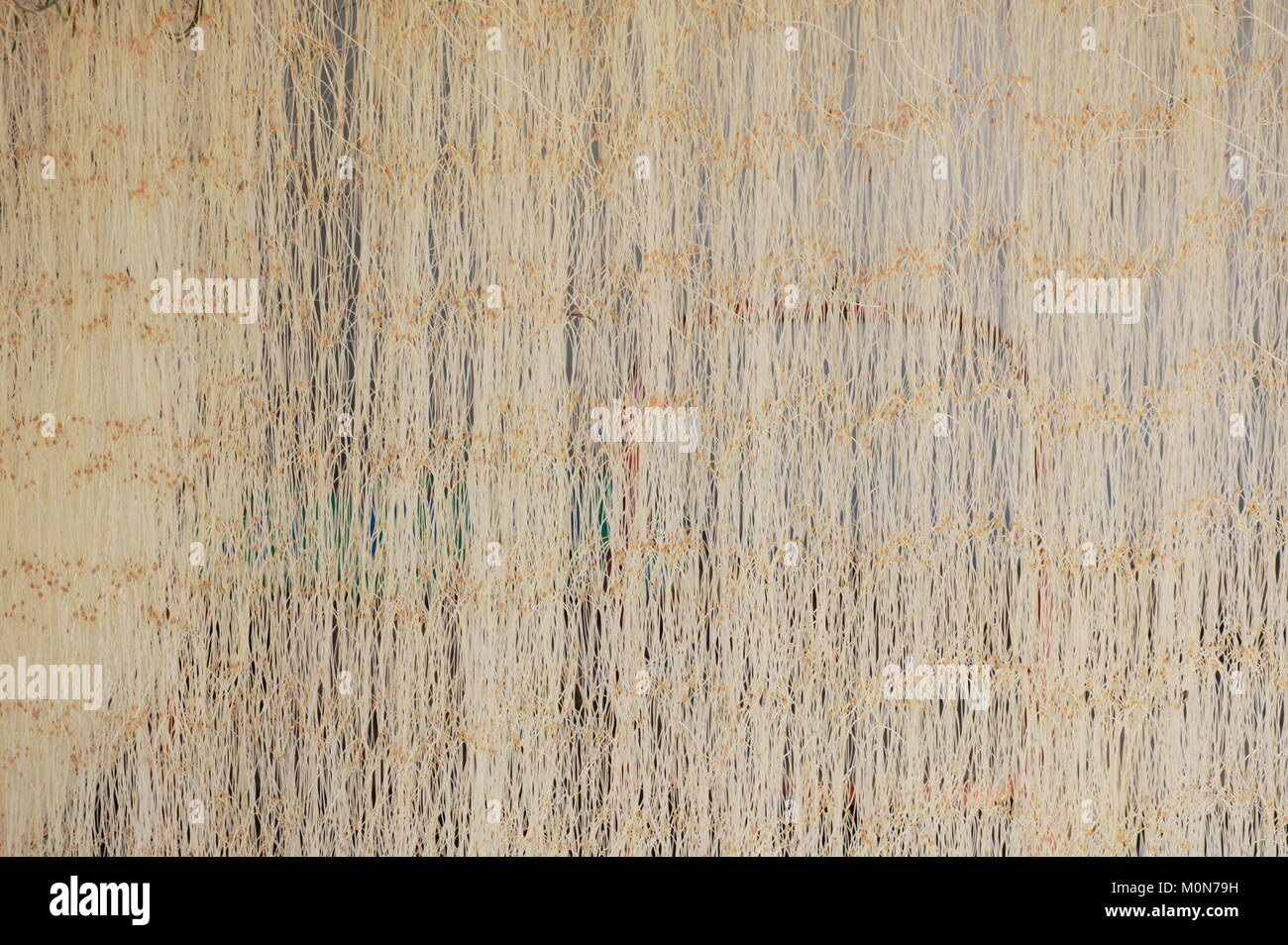 white hanging in fisherman home Stock Photo Alamy