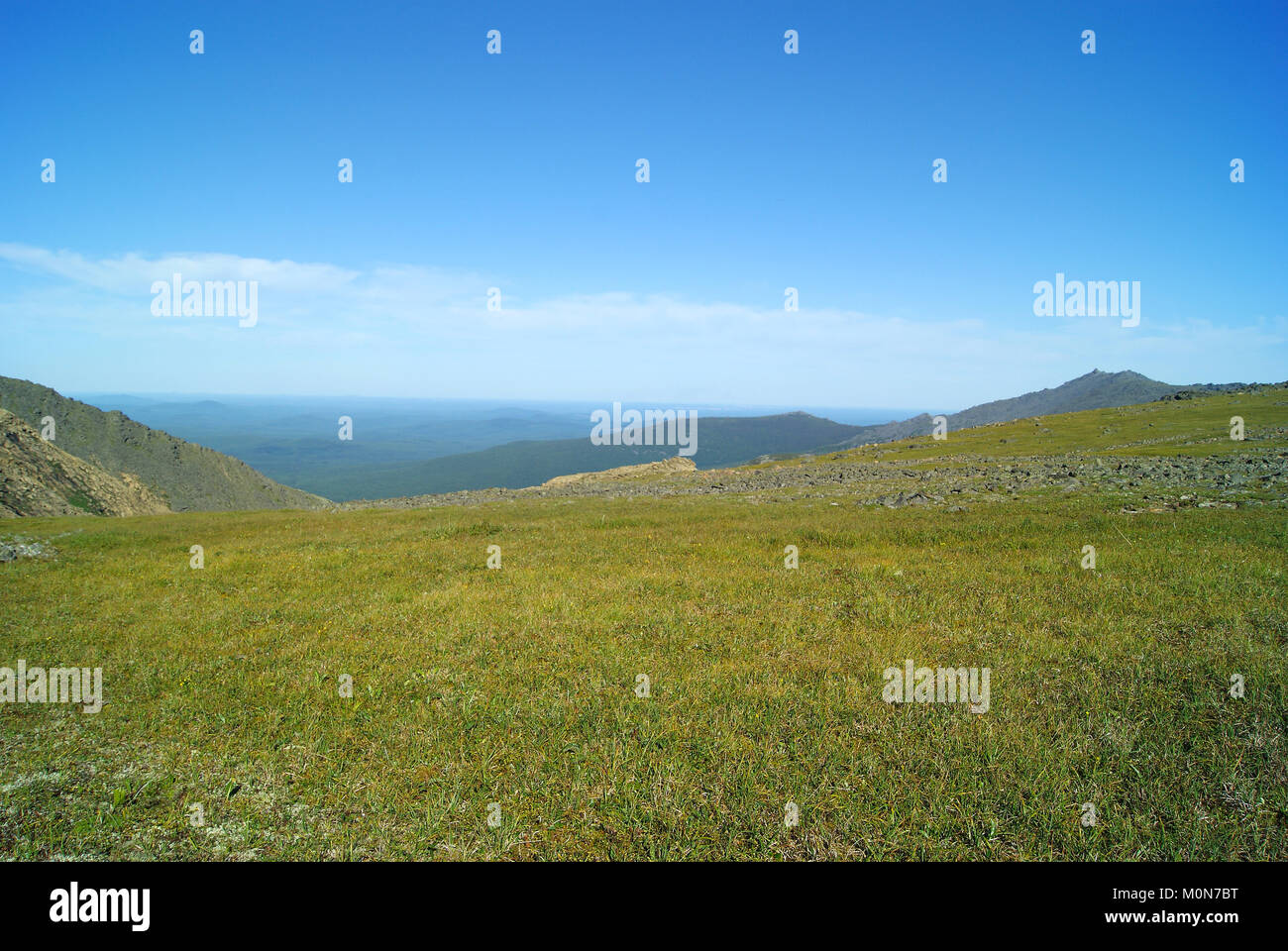 Landscape of the Northern Urals in summer - mountain tundra and alpine ...
