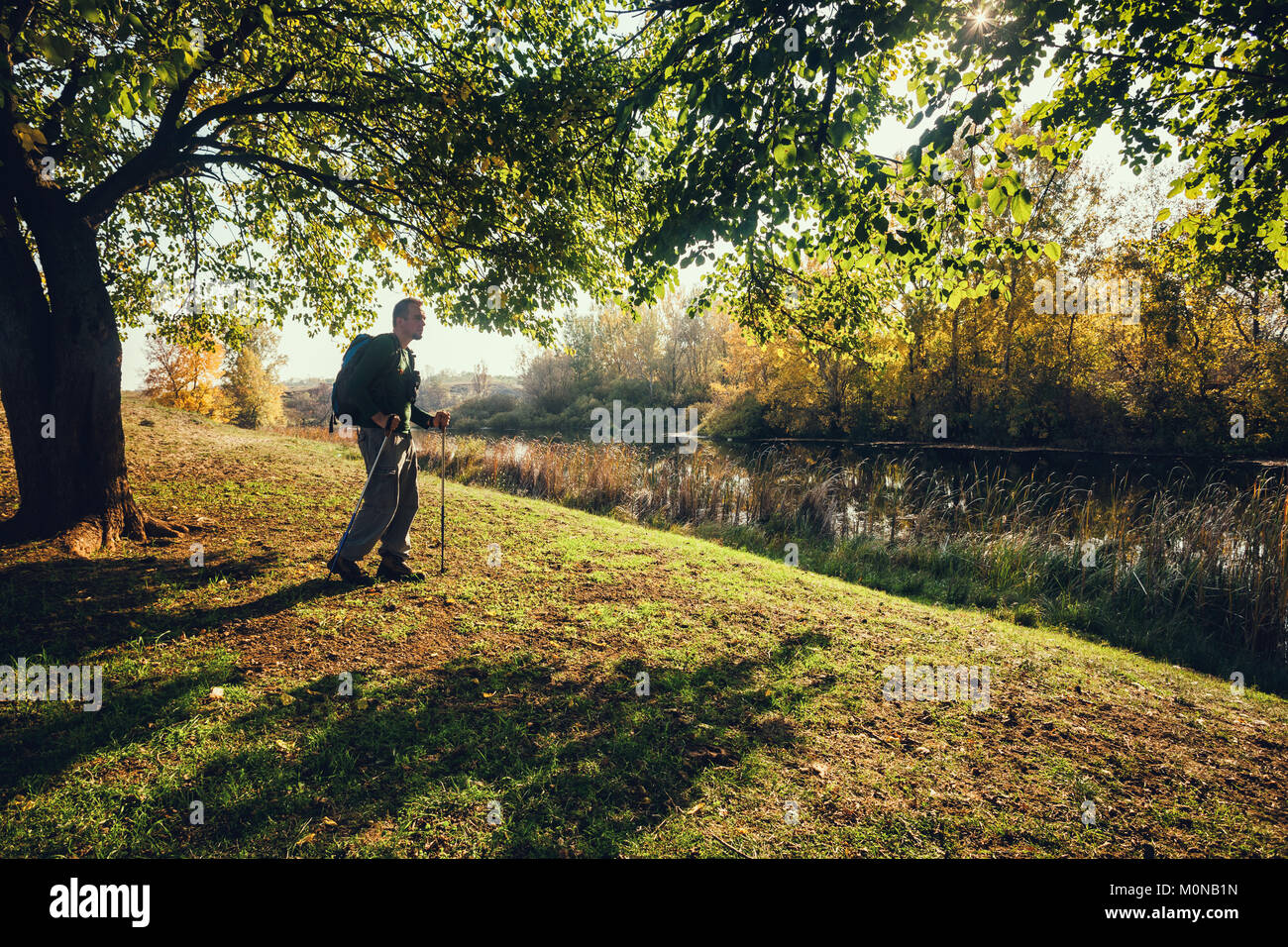 Man is hiking in nature on sunny day. Stock Photo