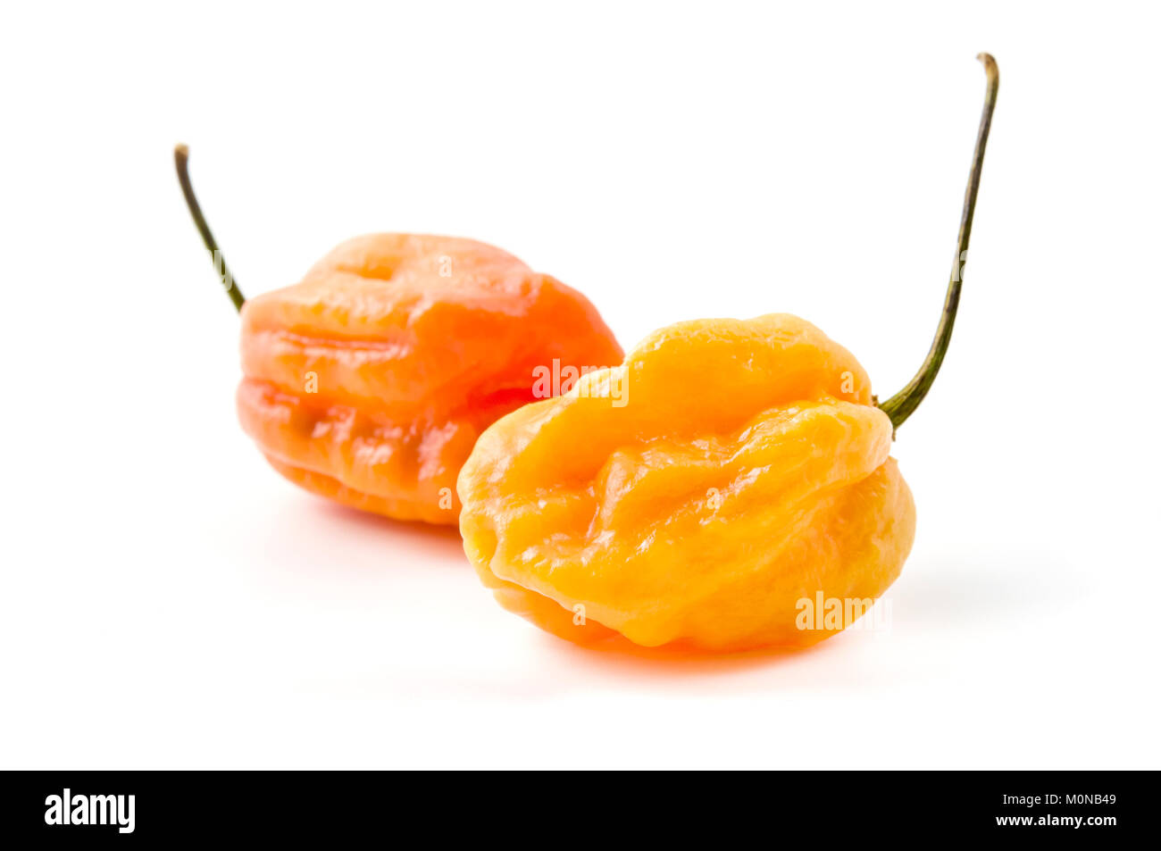 Fatalii Gourmet Jigsaw pepper on a white background Stock Photo