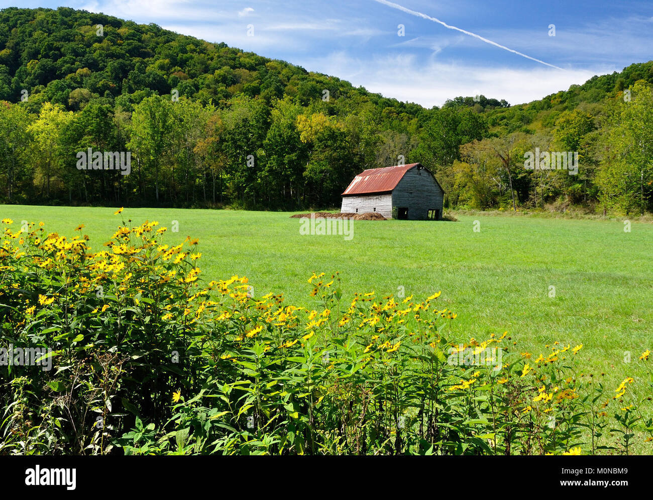 barn in the midst of a grassy meadow graced with wildflowers Stock Photo