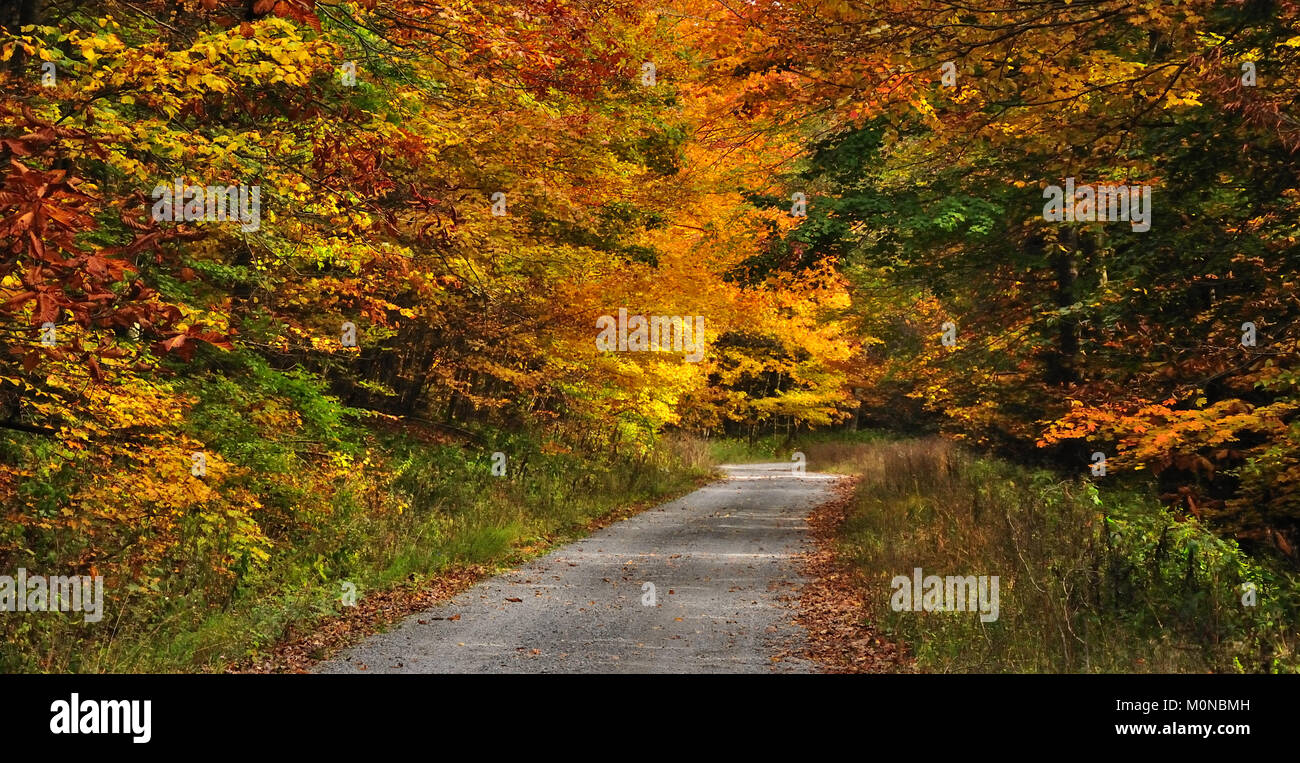 Country road shines in fall colors Briery Knob West Virginia Stock Photo