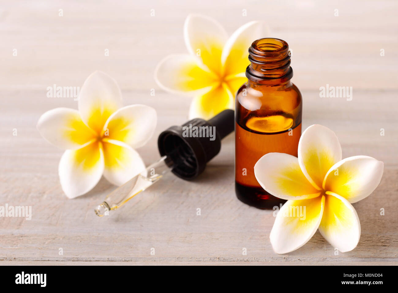 plumeria flowers and Plumeria Essential Oil Perfume on the wooden table Stock Photo
