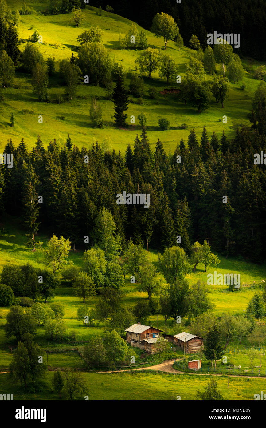 Beautiful summer landscape in Savsat, Artvin province, Turkey Stock Photo