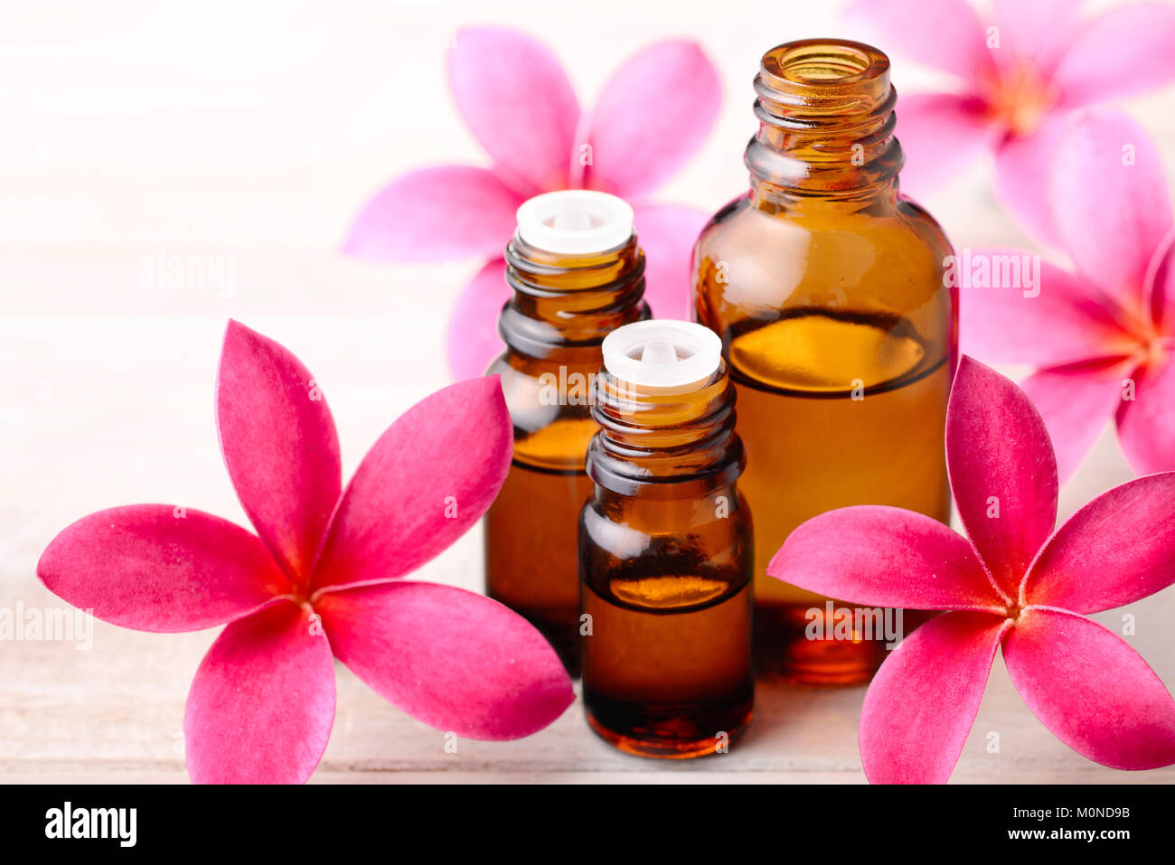 plumeria flowers and Plumeria Essential Oil Perfume on the wooden table  Stock Photo - Alamy