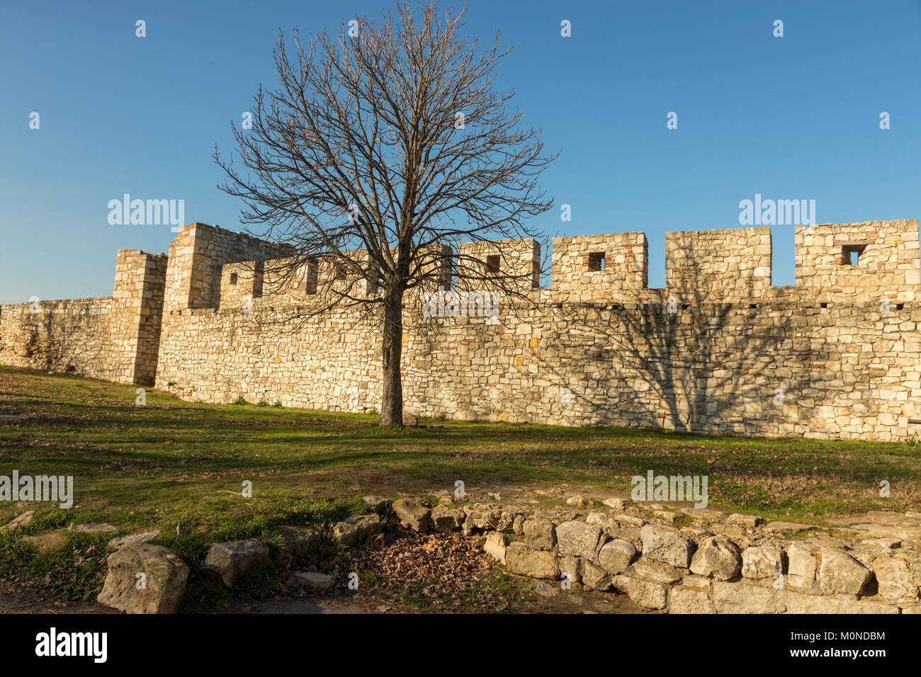 Walls and leafless trees of famous Kalemegdan castle in Belgrade Stock Photo