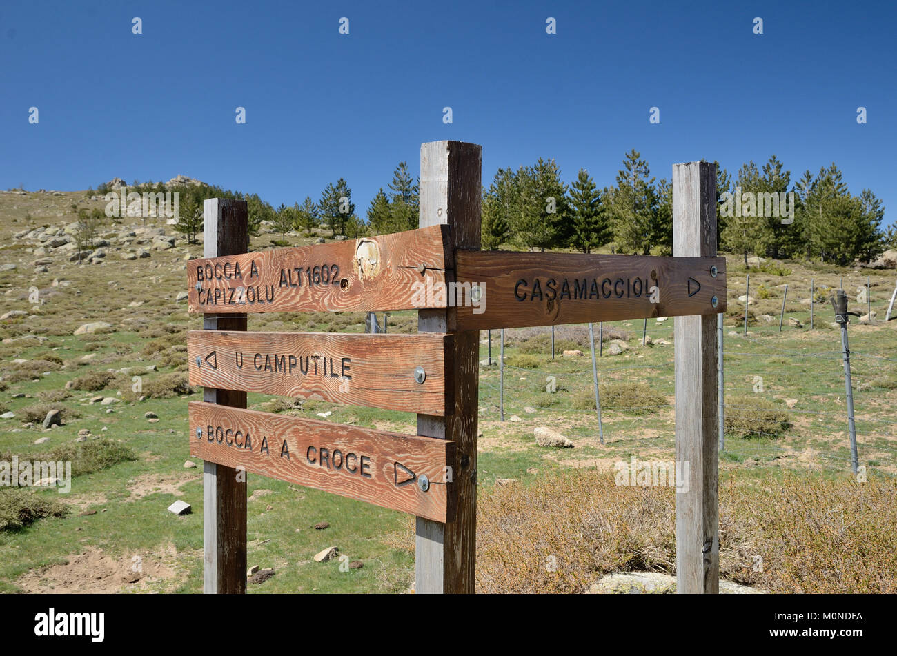 The wooden pointer Stock Photo - Alamy