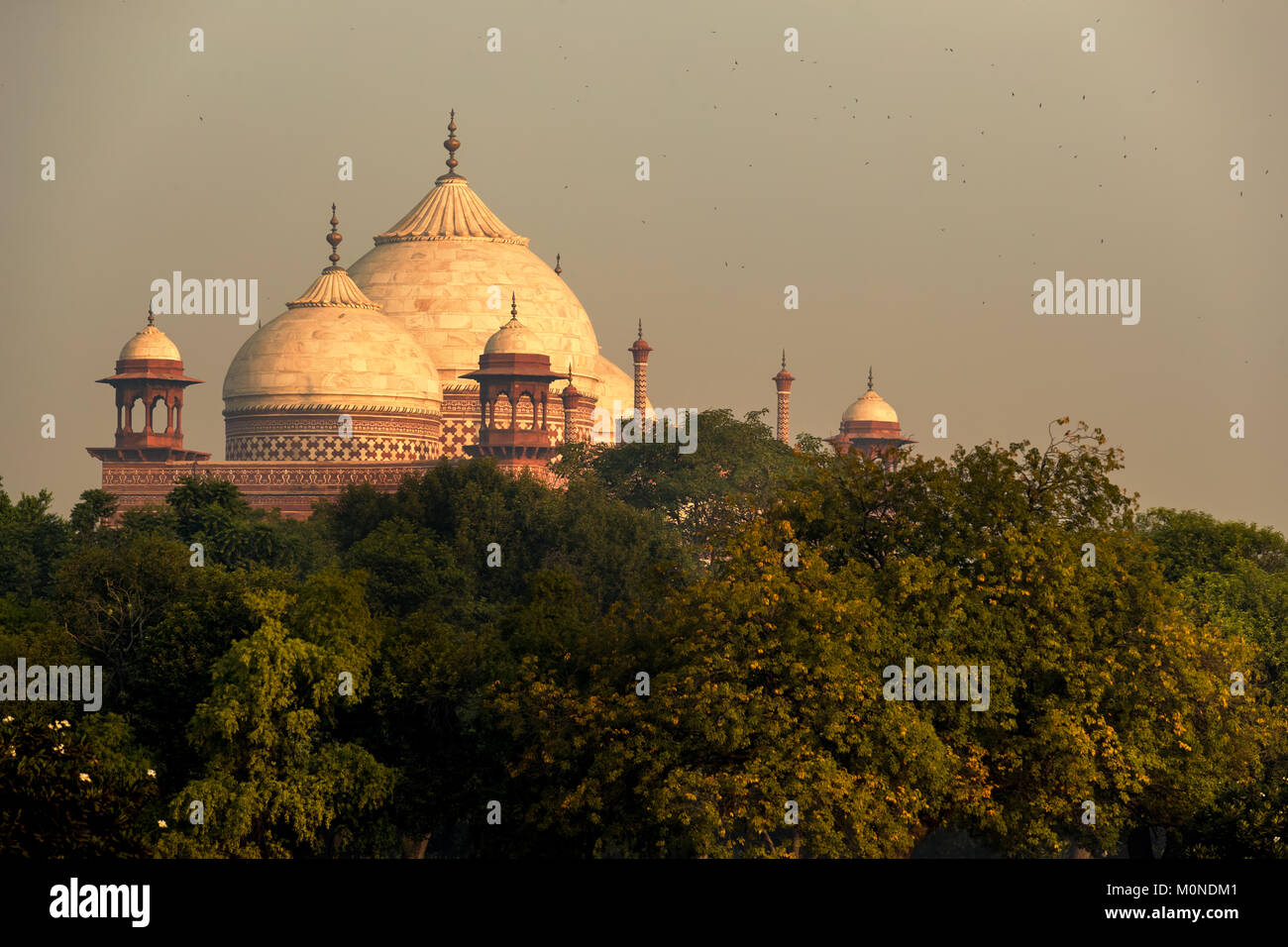 Architecture in the garden of Taj Mahal, Agra, India Stock Photo