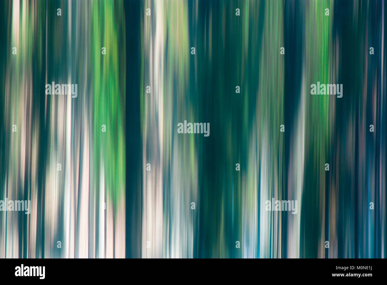 Abstract blurry fantasy forest , background pattern Stock Photo