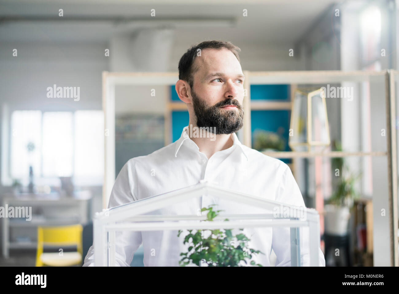 Bonsai inspiration hires stock photography and images Alamy