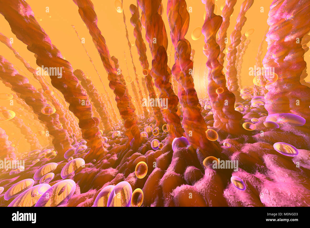3D Illustration of lung or liver cells with oxygen bubbles floating within Stock Photo