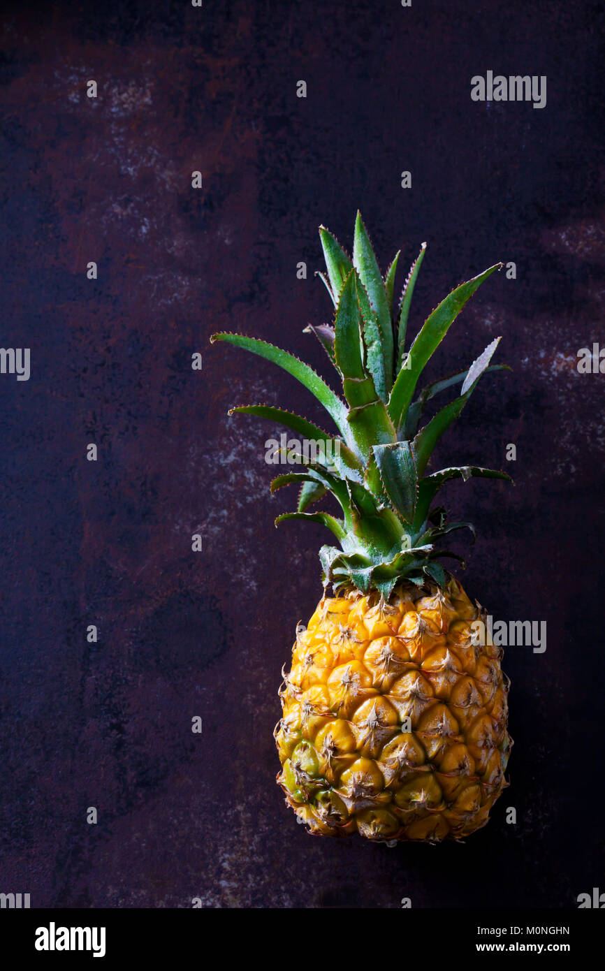 Baby pineapple on dark ground Stock Photo Alamy