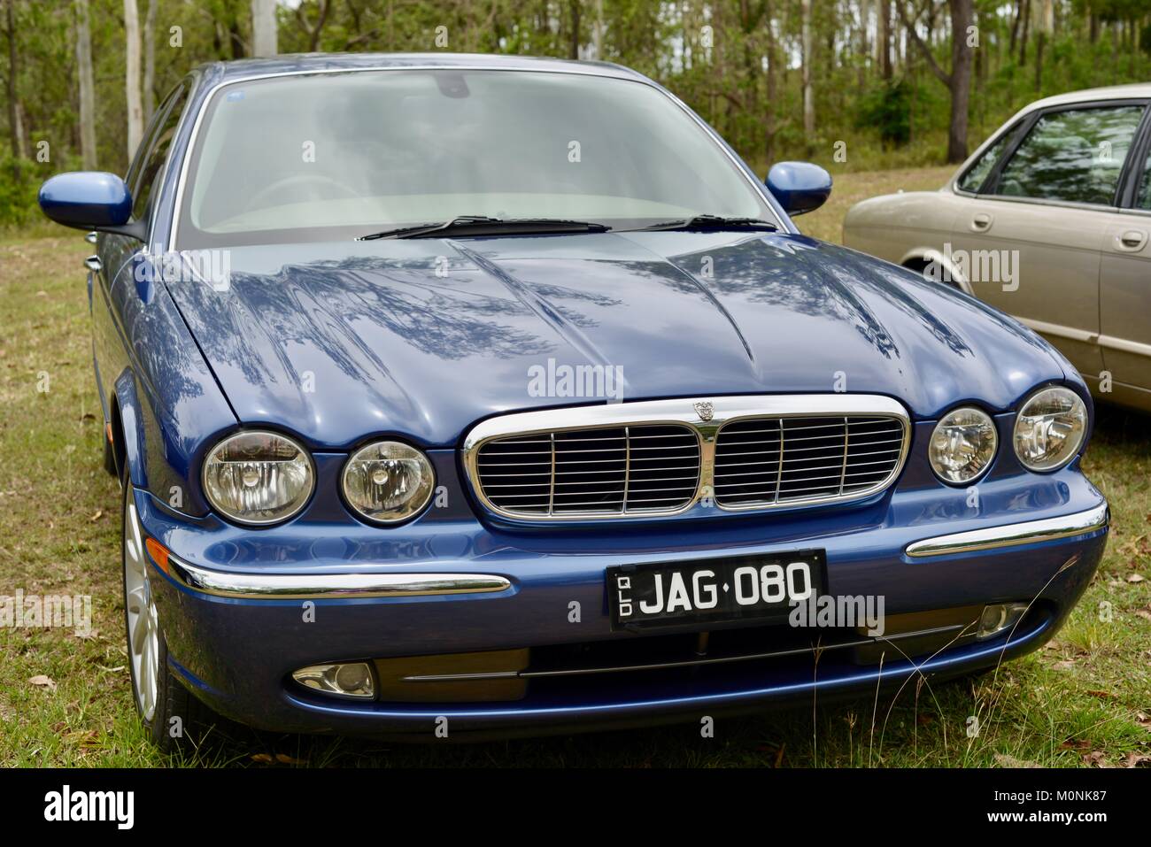 Vintage Car show with Jaguars, Herveys Range Heritage Tea Rooms