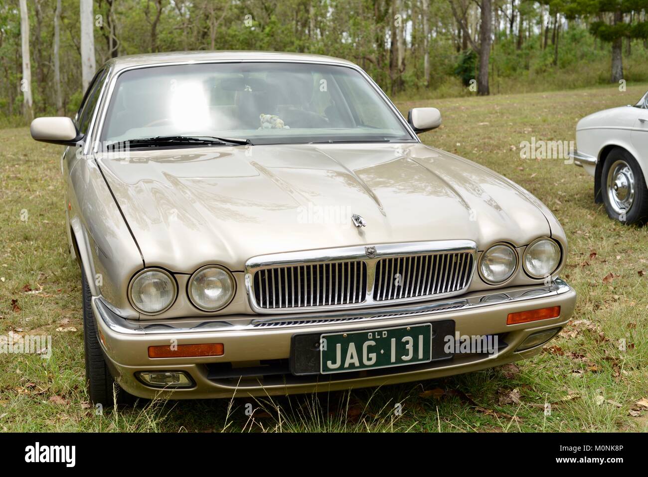 Vintage Car show with Jaguars, Herveys Range Heritage Tea Rooms