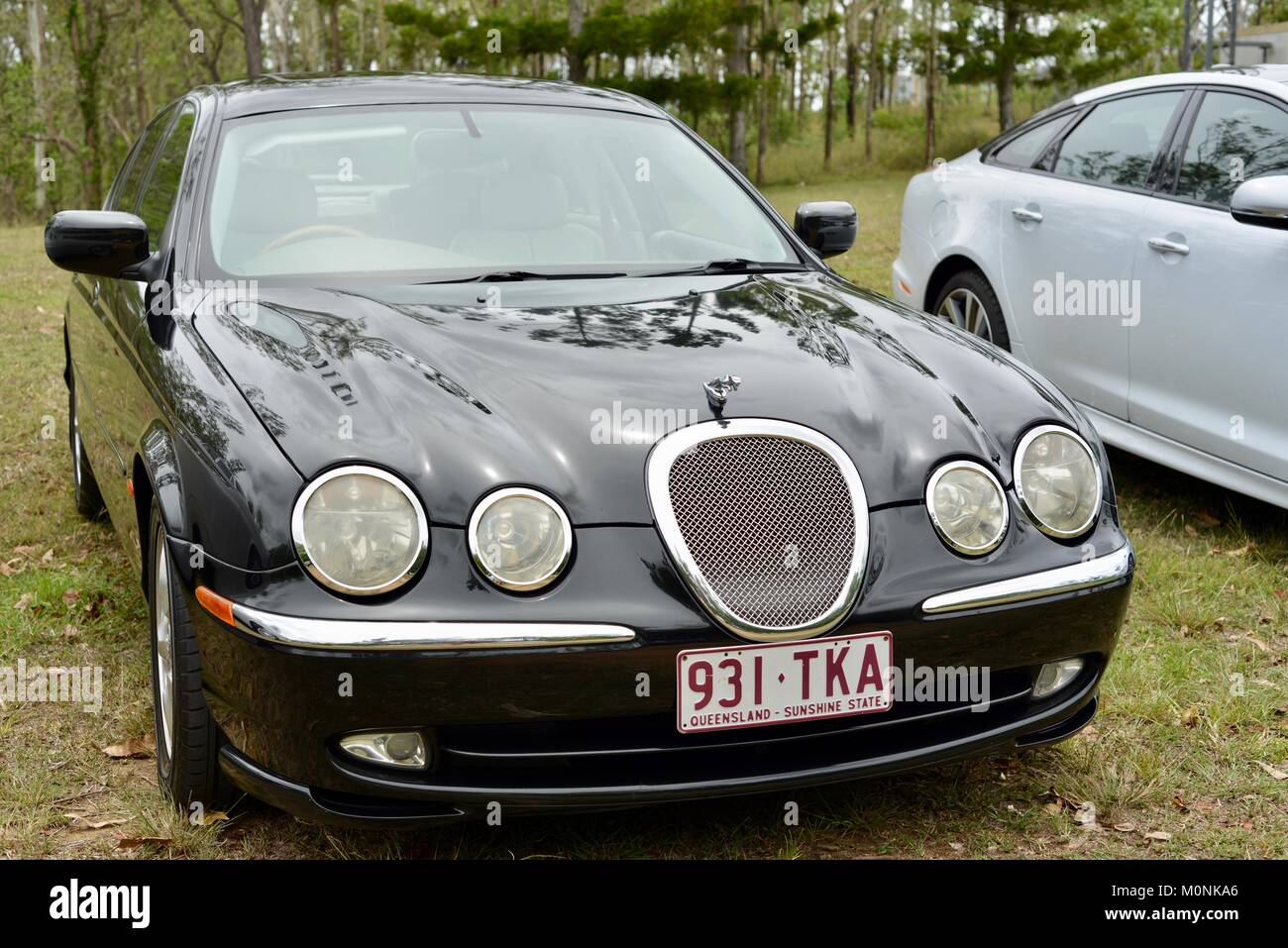 Vintage Car show with Jaguars, Herveys Range Heritage Tea Rooms